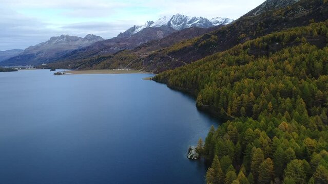 Flight over Lake Sils in autumn, drone shot, view towards Piz Rosatsch, Maloja, Engadin, Graubuenden, Switzerland, Europe