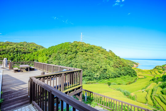 夏の浜野浦の棚田　佐賀県松浦郡　Hamanoura Rice Terraces in summer. Saga Pref, Matsuura-gun.