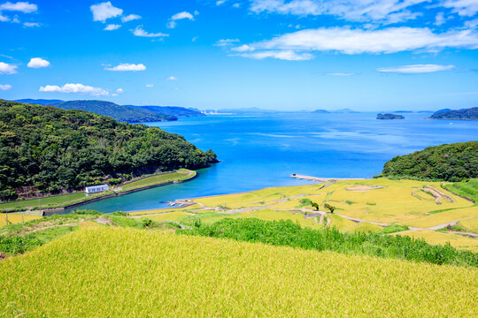 初夏の土谷棚田　長崎県松浦市 Doya Rice Terraces in early summer. Nagasaki Pref, Matsuura city.