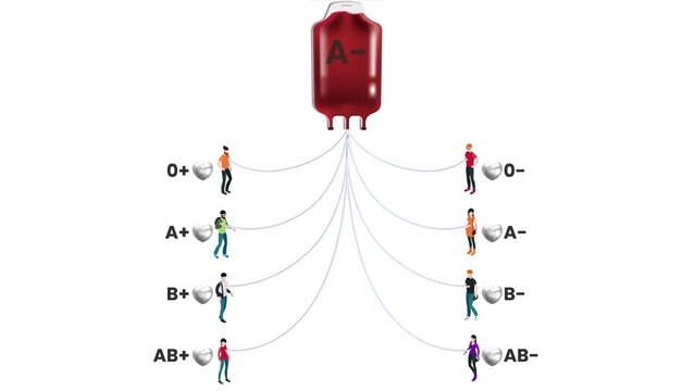 Blood Transfusion According To Blood Groups Medical Donation Type Label Scheme 4k