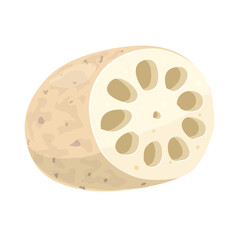 レンコンのイラスト