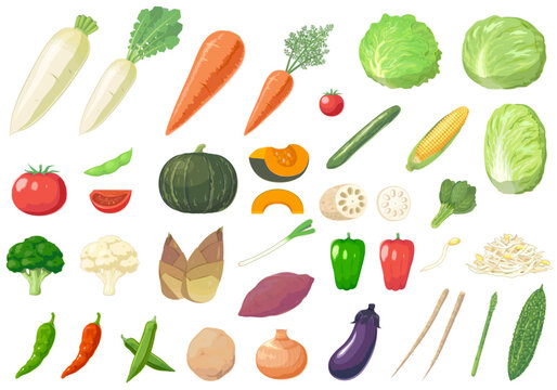 野菜のセットイラスト
