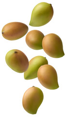 mangoes isolated background, mangifera indica, popular tropical fruit native to south asia and known for its deliciously sweet and juicy flavor falling or levitating