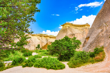 Place in Cappadocia-Fairy Chimneys (Pasabag Valley).