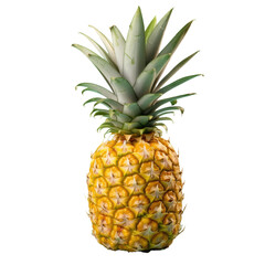 Pineapple on transparent background