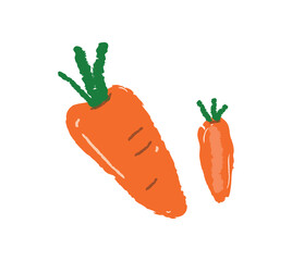 Different cuts of carrots in vegetables illustration