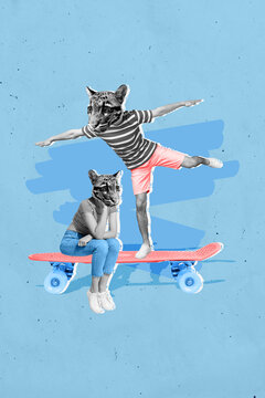 Vertical photo composition collage template of two people disguise tigers animals riding skateboard fun isolated on blue color background