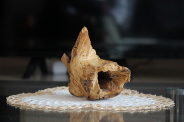 A piece of wood used as a natural home decor