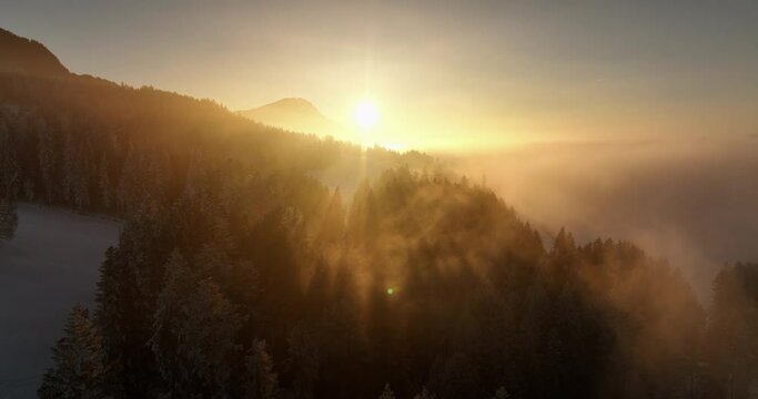 Forest winter wonderland nature landscape scenery