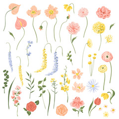 Set of vector flowers and leaves illustrations