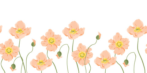 Seamless poppy border on white background