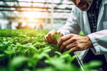 Close-up agronomist checks crops in the greenhouse. Generated by AI