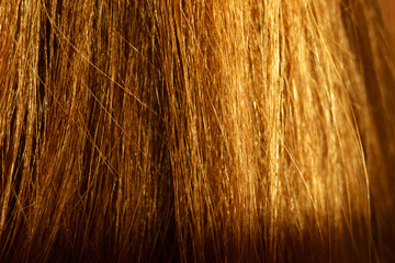 Female brown hair close-up, extremely, detailed. Hairdressing procedures, extension. Selective focus