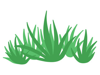 Grass Illustration. Green Grass Landscape
