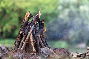Unburned campfire with tree branches in forest, copy space.