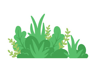 Lush Green Grass Landscape Illustration