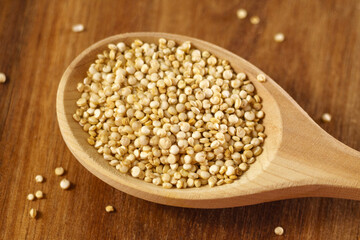 Raw quinoa kernels are heaped into a wooden spoon. Cereal seeds close-up. Macro