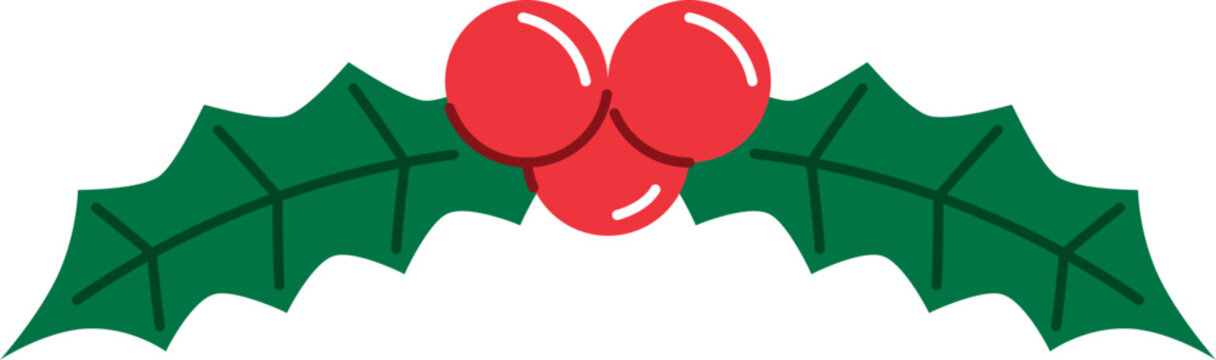 Christmas mistle toe flat icon
