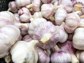 Garlic on the counter of a grocery hypermarket, sale of fresh vegetables