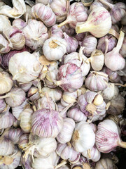 Garlic on the counter of a grocery hypermarket, sale of fresh vegetables. Vertical photo