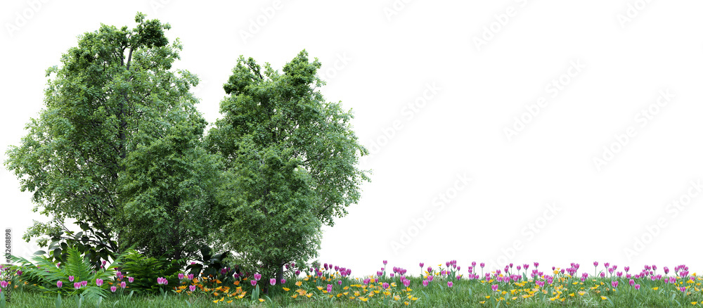 Poster group of tree isolated on transparent background 3d rendering png