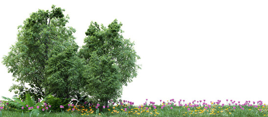 Group of tree isolated on transparent background 3d rendering png