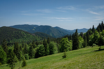 Fototapeta na wymiar landscape in the summer in Ukrainian Carpathian