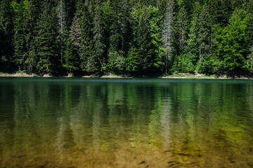 lake in the woods in Ukraine
