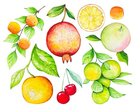 Watercolor set with fruits, peaches, pomegranate, oranges, apple, cherry