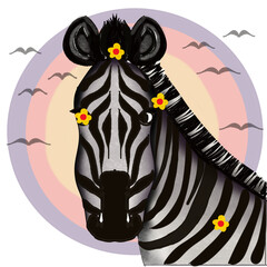 Zebra with sunset, Collection Sassy wildlife.