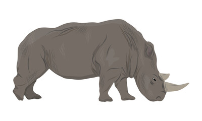 Fototapeta premium African white rhinoceros. Realistic vector animal