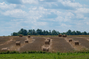Bales of Hay in the Field IN UKRAINE