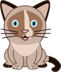 Siamese cat vector blue eyes