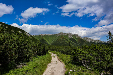 Fototapeta na wymiar Summer High Tatra mountains landscape 