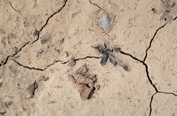 Dry muddy ground caused by global warming, Minas da Borralha, Montalegre, Portugal.