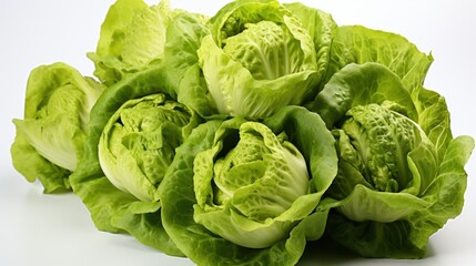 fresh green lettuce, ai generative