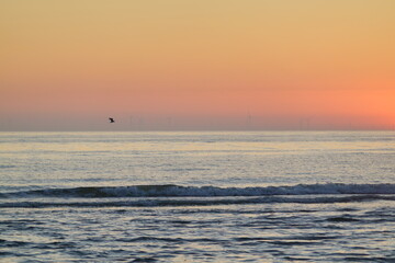 Sunset near Noordwijk beach, with the horizon filled with hardly visible wind turbines   