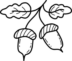 Branch with acorns and leaves