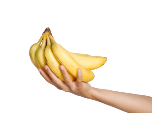 Hand hold bunch of bananas isolated on transparent layered background.