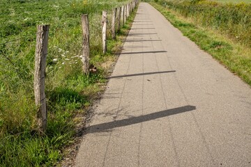 path in the field with fence on the right side