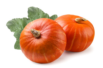 Two pumpkins with leaves on a white background. Isolated
