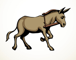 Vector drawing. Cute old mule