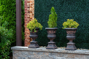 Potted Plants on Stone Wall with Red Brick