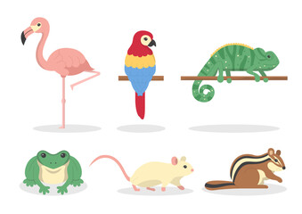 Cute wild animal Hand drawn cartoon characters vector