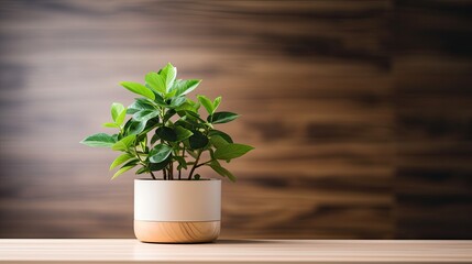 potted house plant on light wood desk generative AI