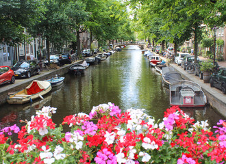 Fototapeta premium Flowers frame an Amsterdam canal