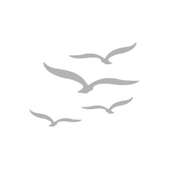 seagulls icon on a white background, vector illustration