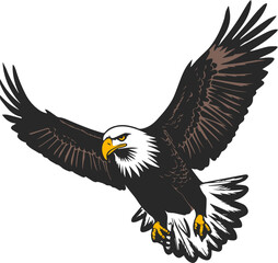 Vector illustration of a wild flying eagle. Mascot.