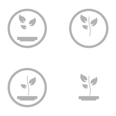 plant sprout icon on a white background, vector illustration