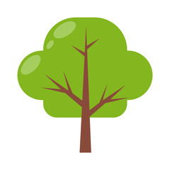 Tree Flat Element
